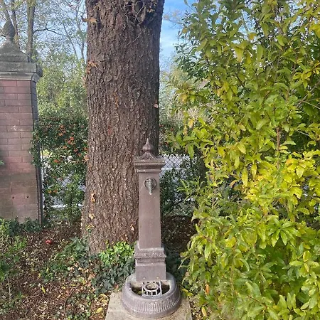 Rio Sabbioso * Dozza