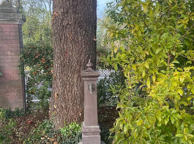 Rio Sabbioso * Dozza